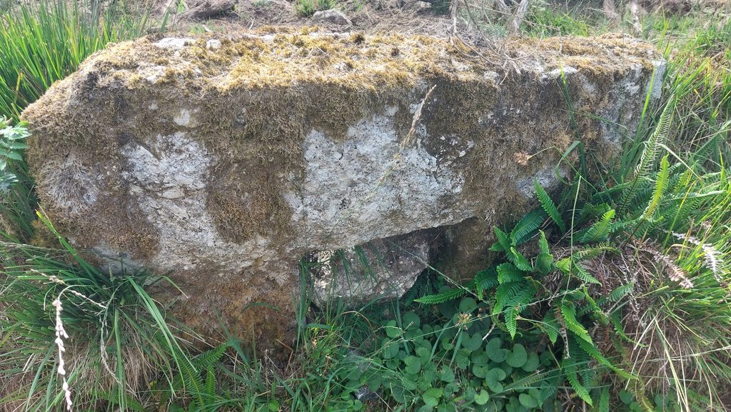 1b. Regulator Stone