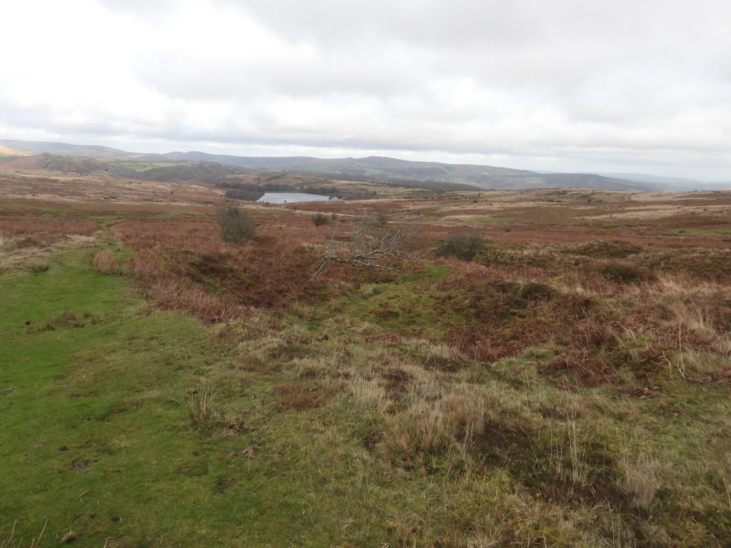 10a. Track above Whim Plat