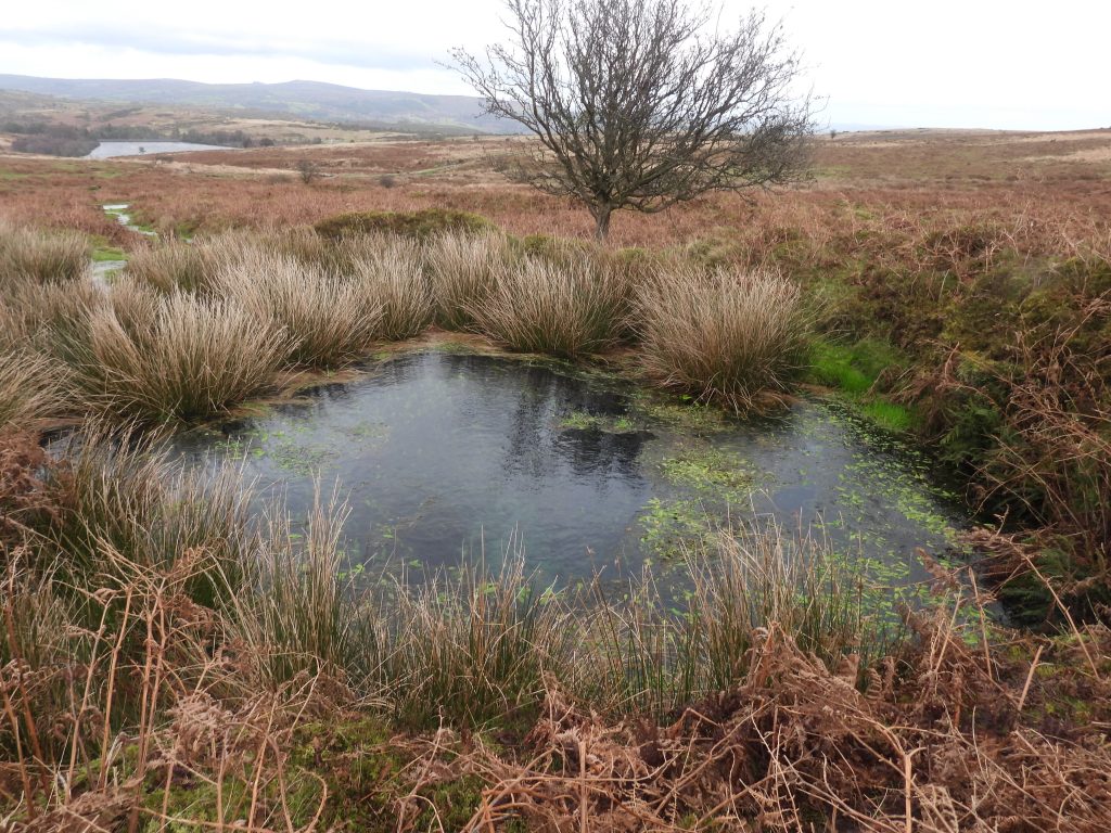 11b. Shaft 2 - the flooded shaft