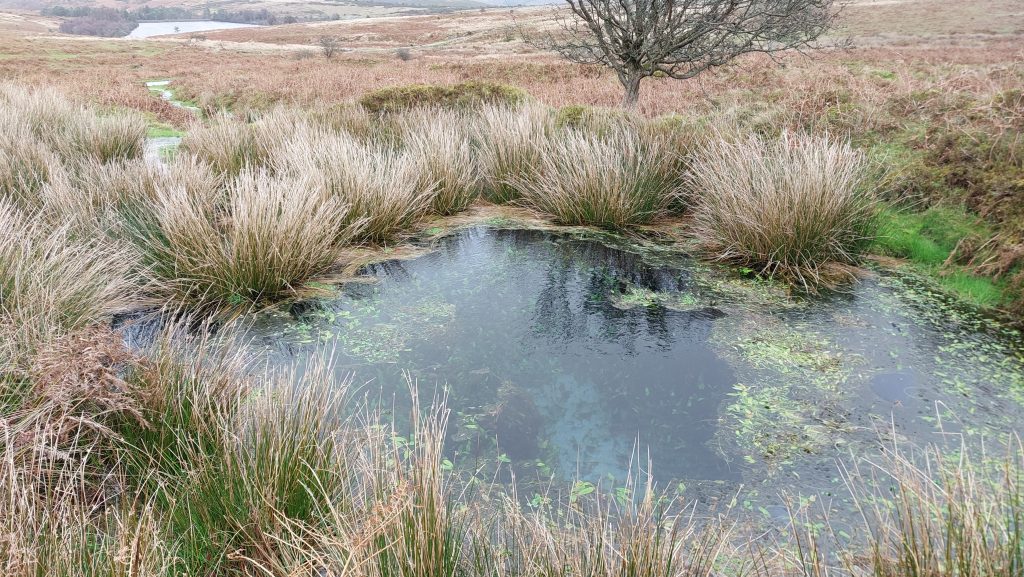 11c. Shaft 2 - the flooded shaft