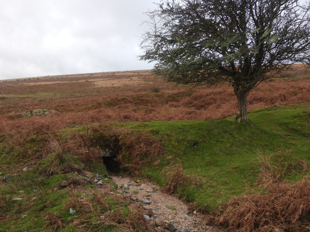 13d. Tramway Culvert west