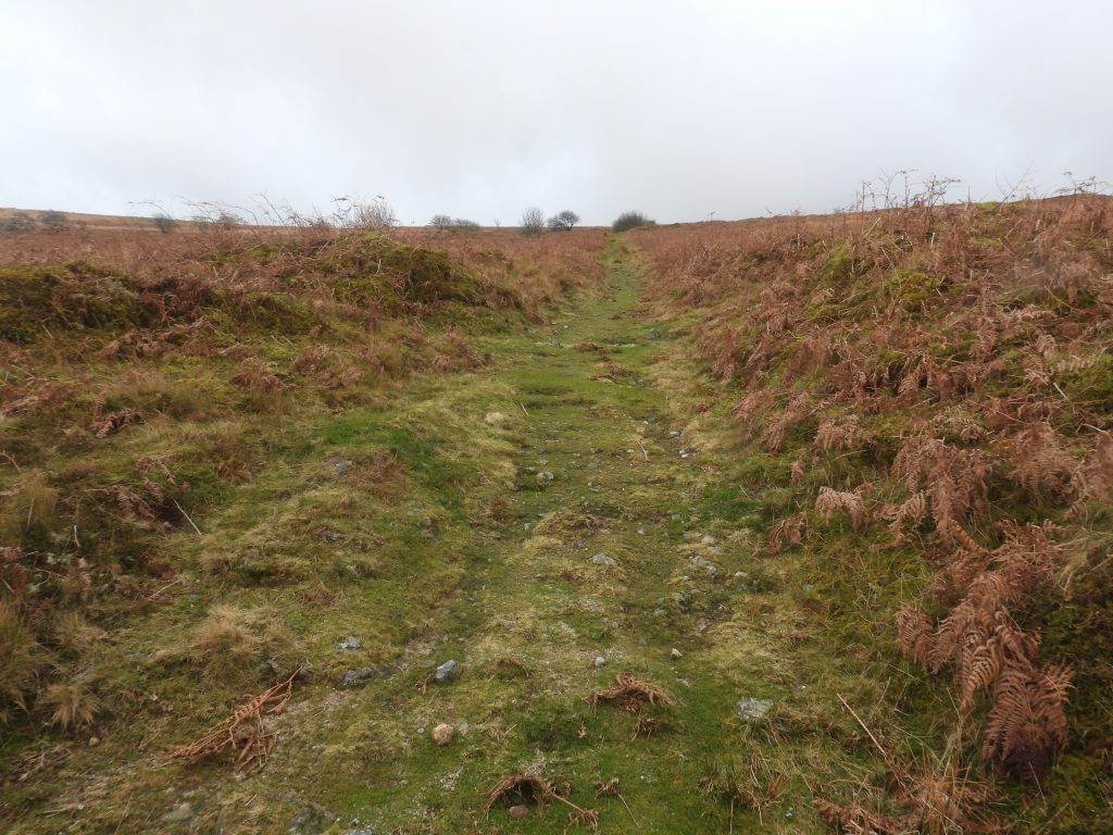 15. Track to Barracks