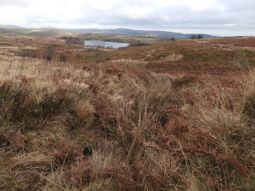 17a. Channel leading to dressing floor