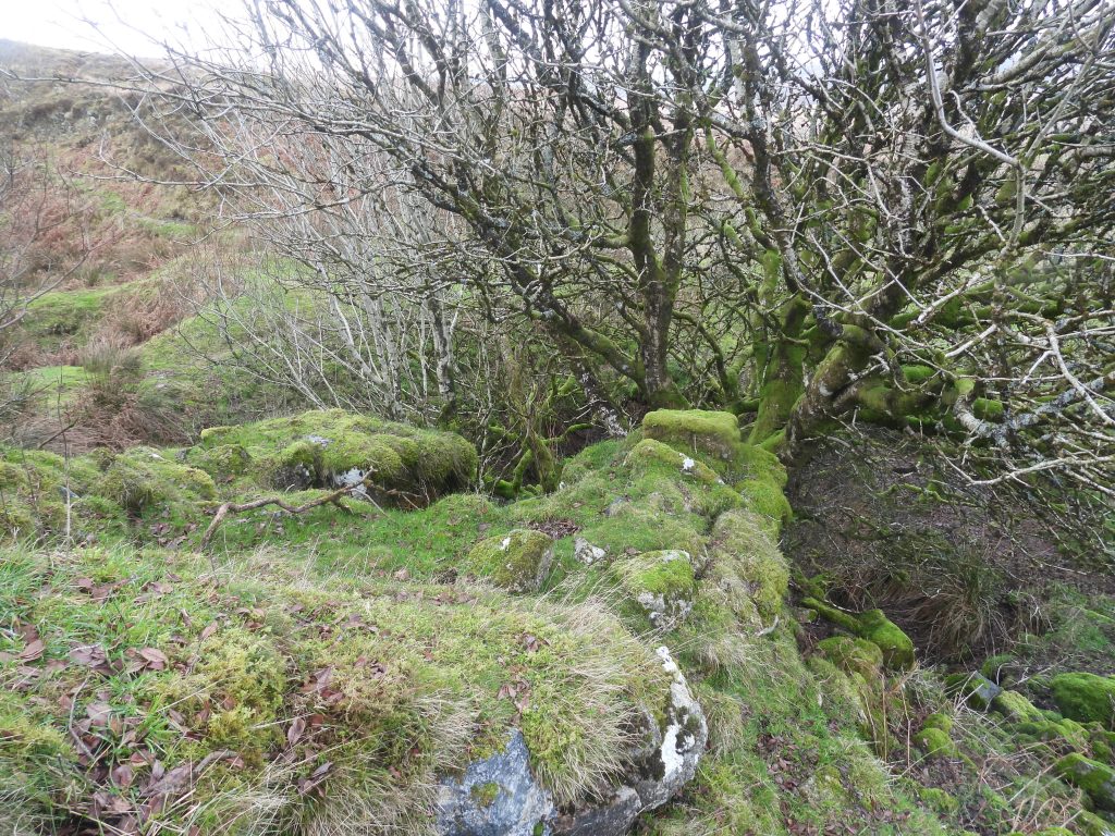 1f. Top of Engine House