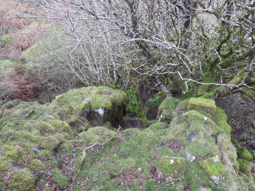 1g. Top of Engine House