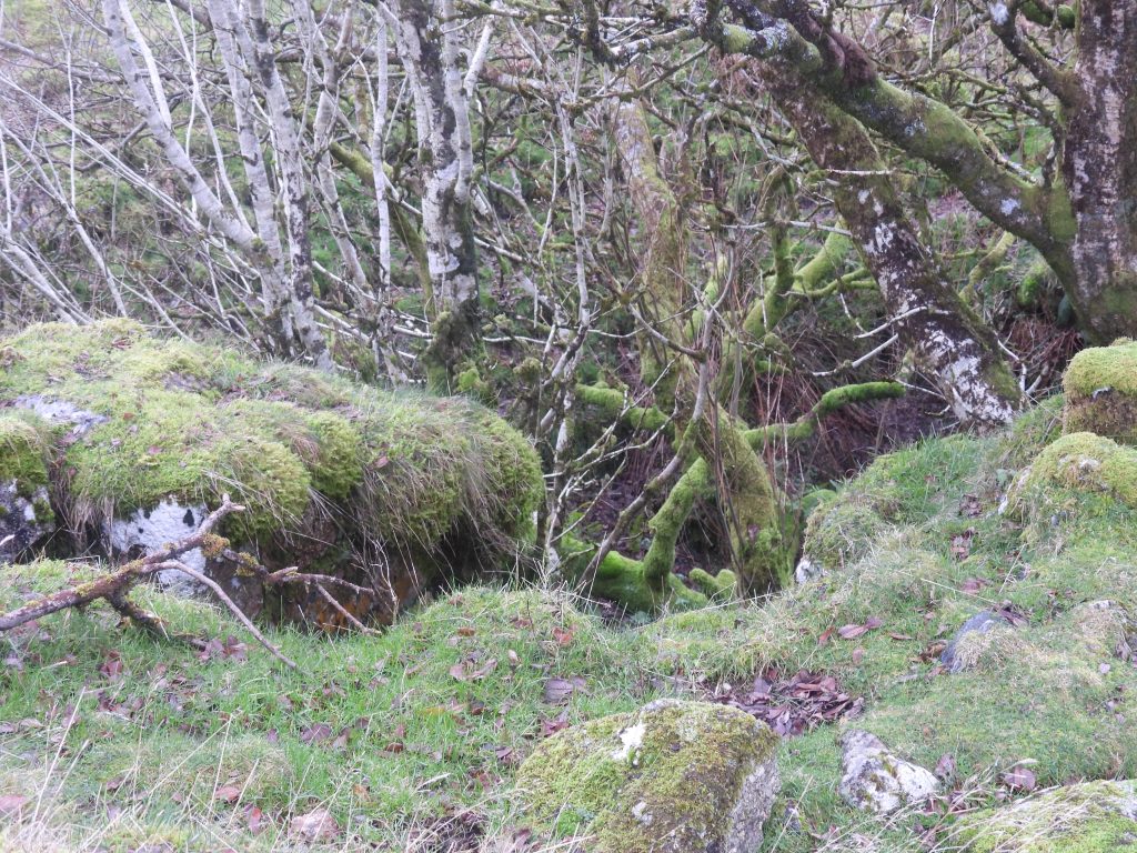 1h. Top of Engine House