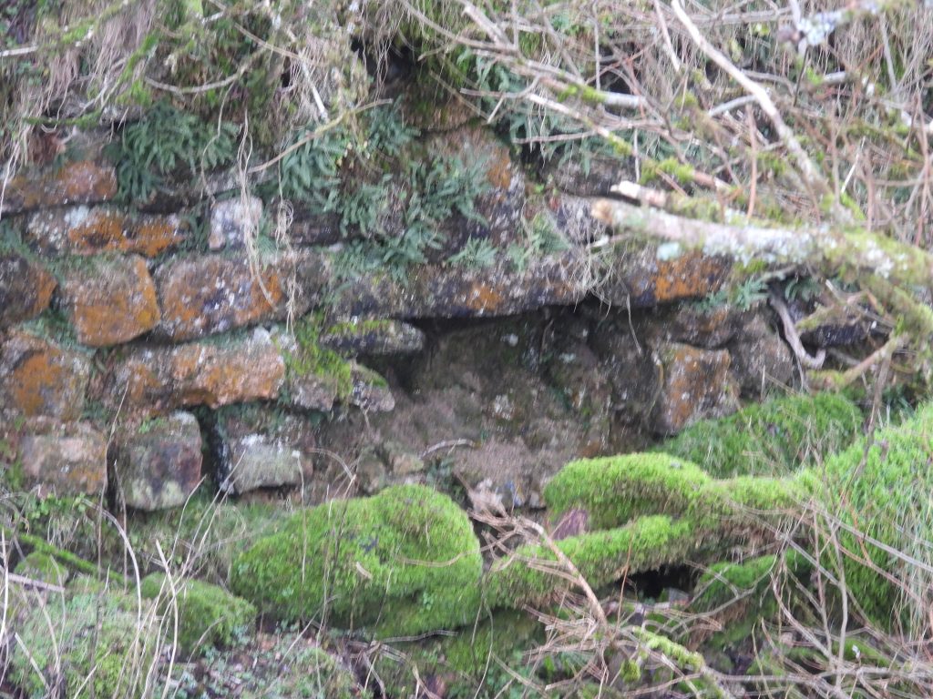 1j. Wall Collapse or Plug Door