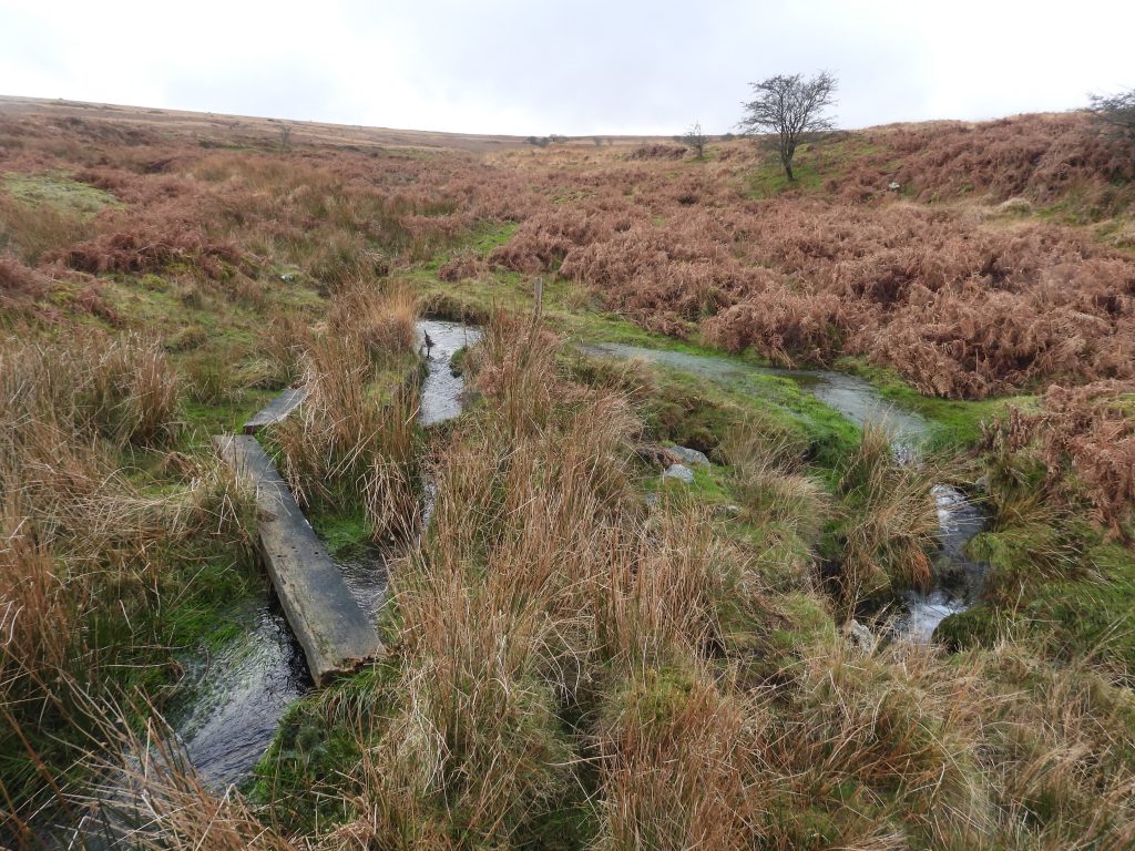 20. Holne Town Gutter Take Off a