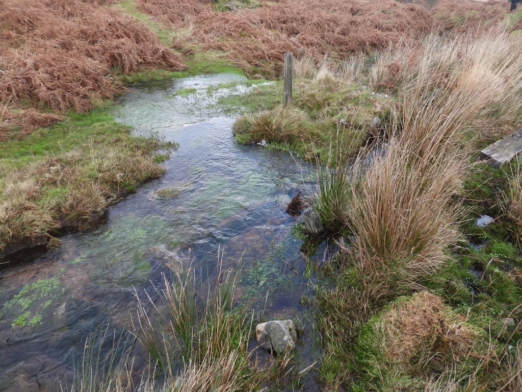 20. Holne Town Gutter Take Off b