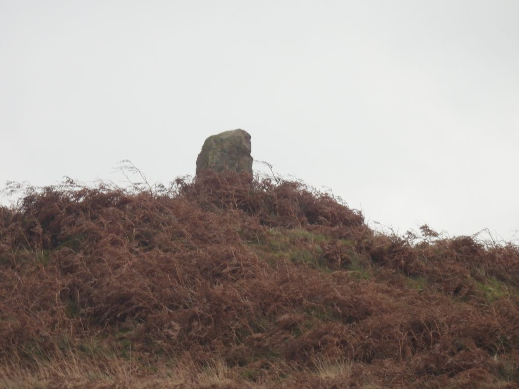 27. Boundstone from Dressing Floor