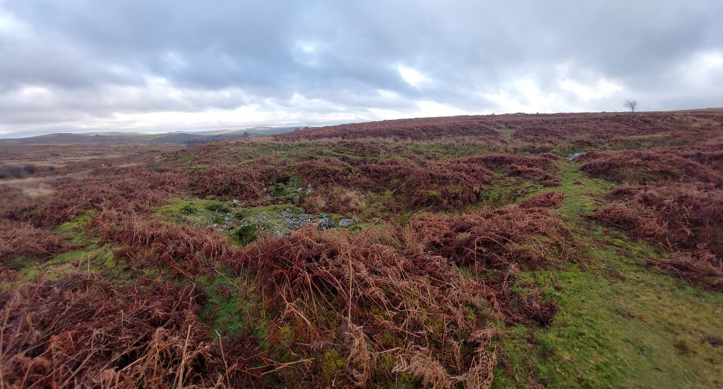 27e. Likely Wheelpit location