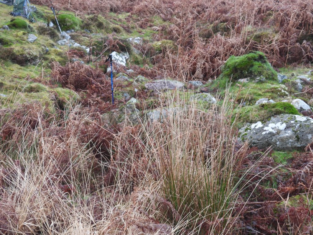 27i. Possible Structure