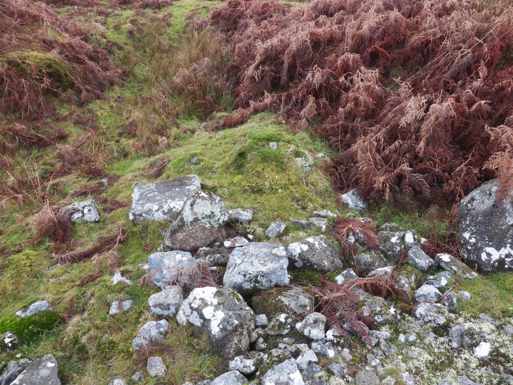 27j. Possible Structure