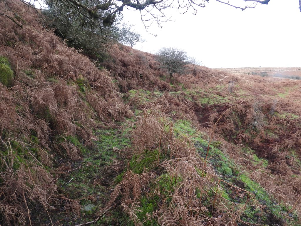 31. Hamlyns Leat overlooking Streamworks a