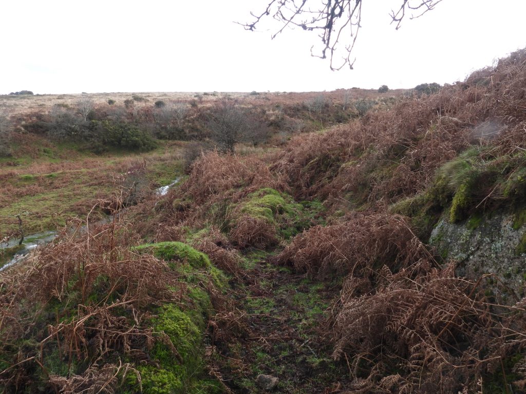 31. Hamlyns Leat overlooking Streamworks b