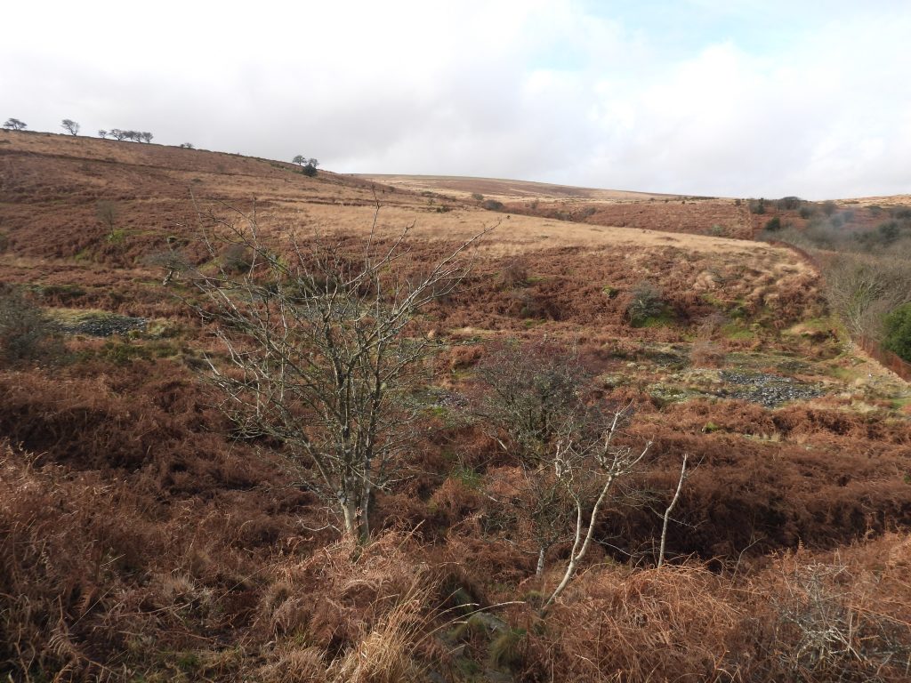 32. Venford Streamworks a