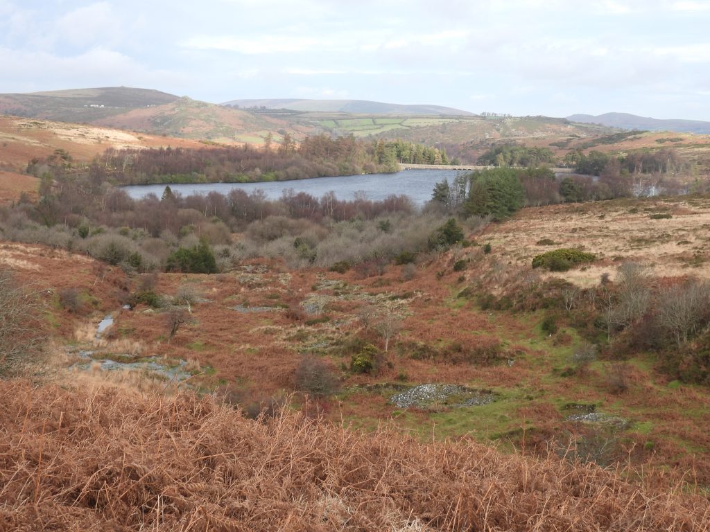 32. Venford Streamworks c