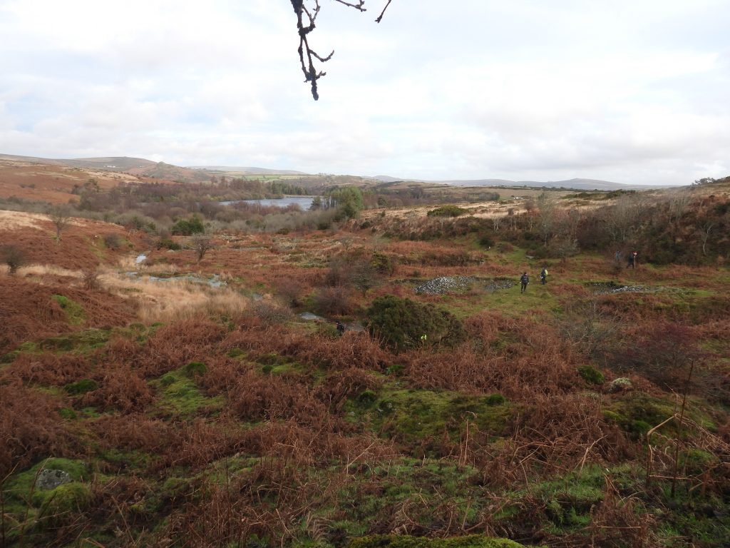 32. Venford Streamworks d