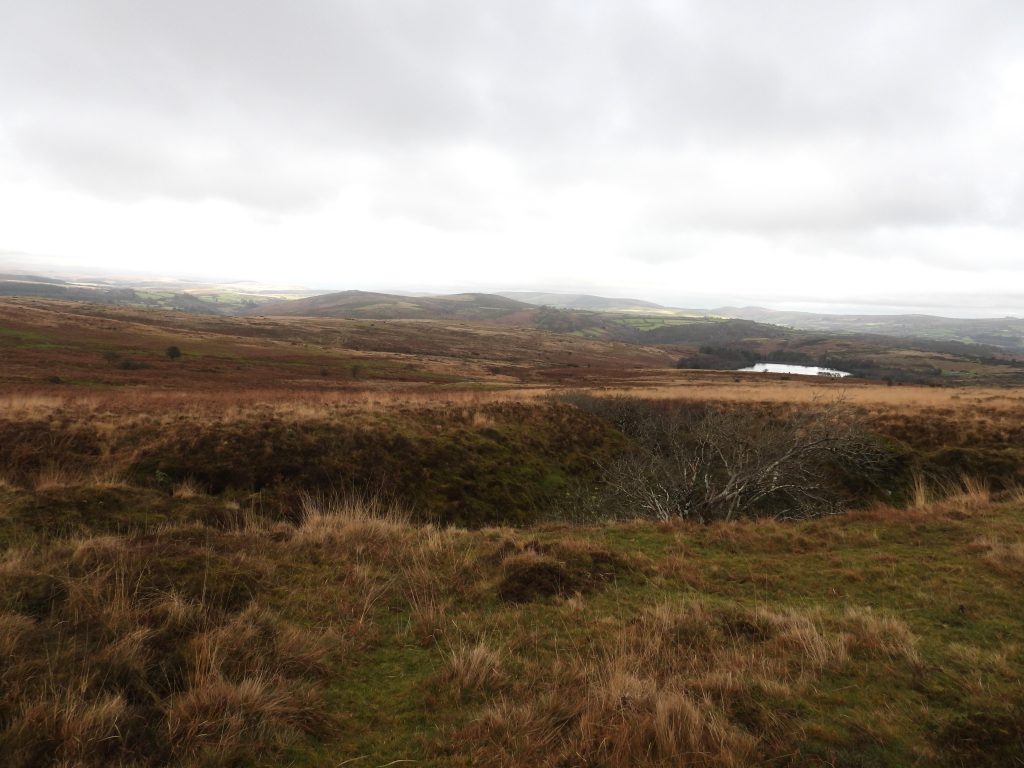 3g. View from Reservoir F