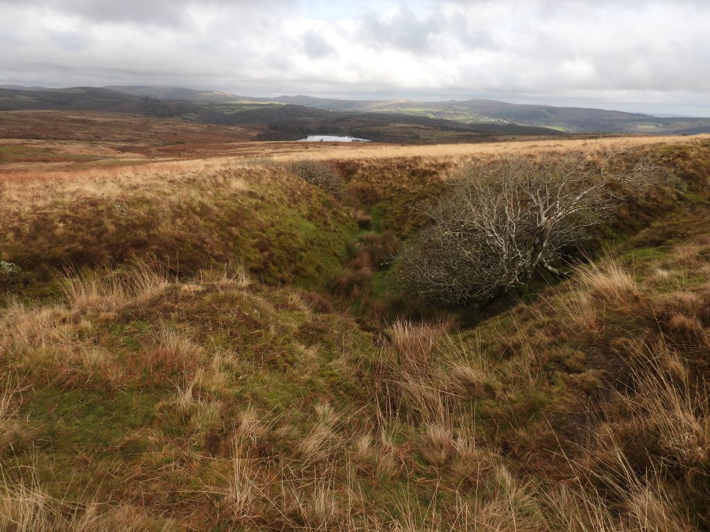 3h. Head of Ringleshutes Stream