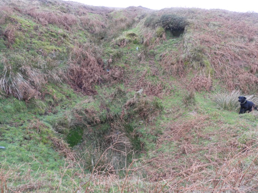 5. Shaft 5 and Angus the Dog