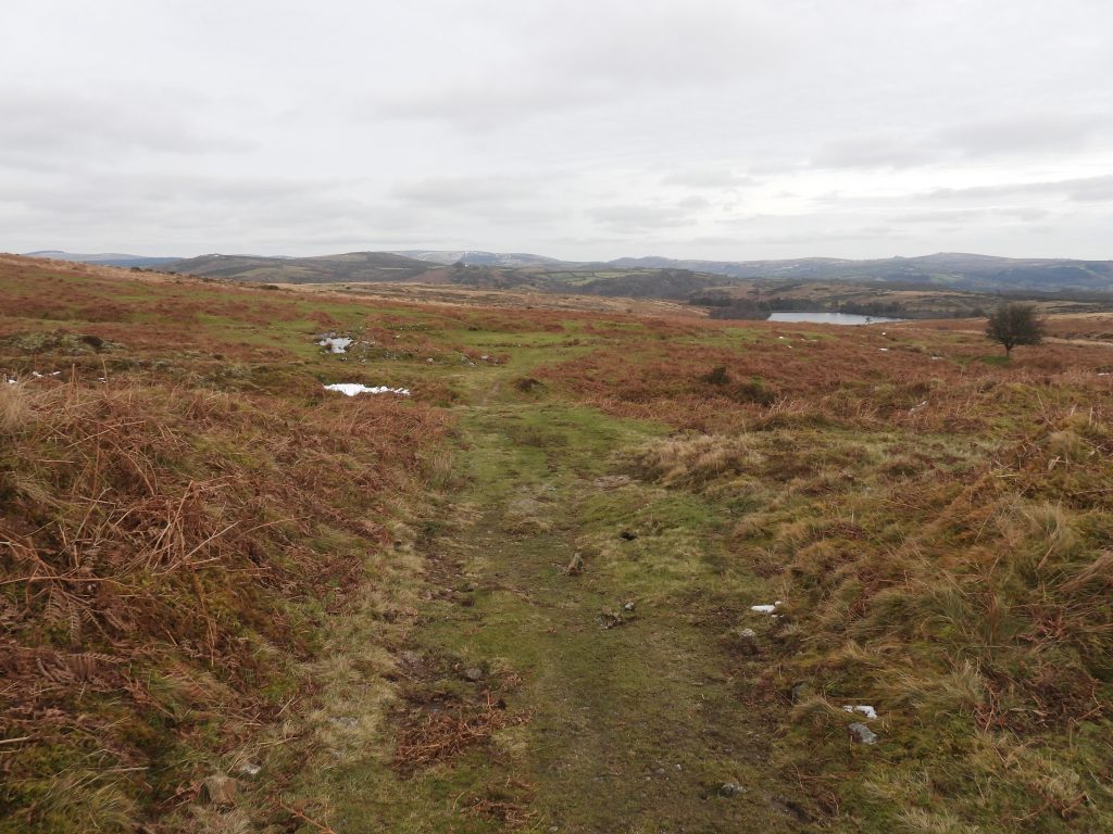 9. Track from main shaft