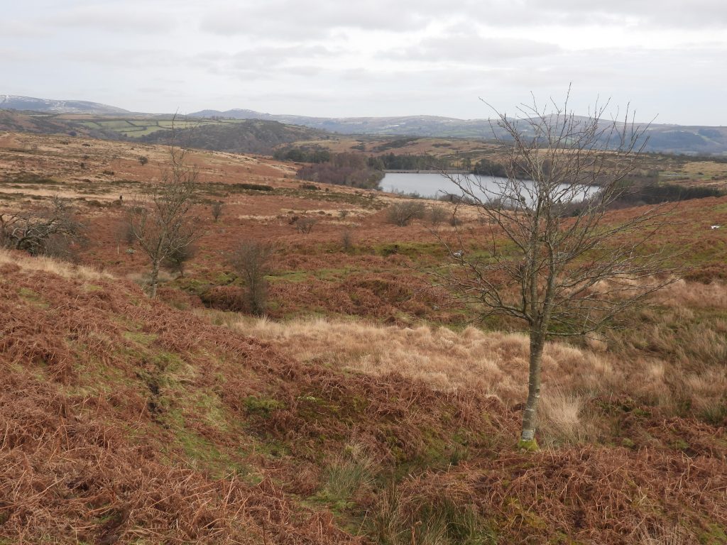 17b. Overlooking Dressing Floor