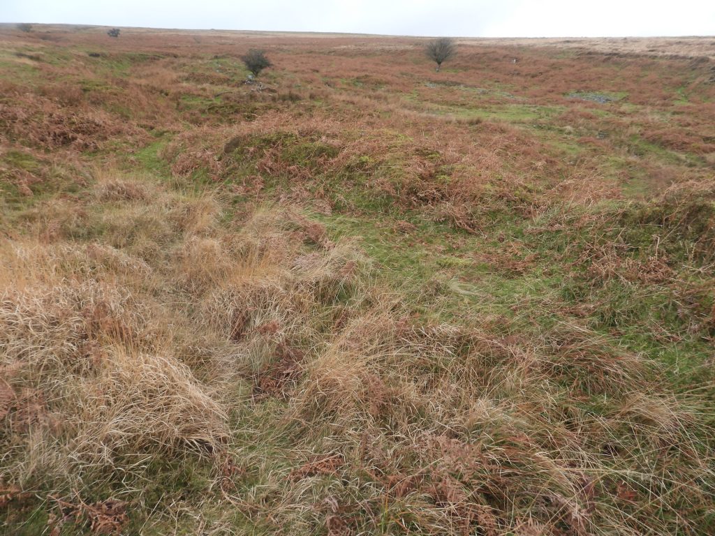 8b. Reservoir D overlooking Streamworks