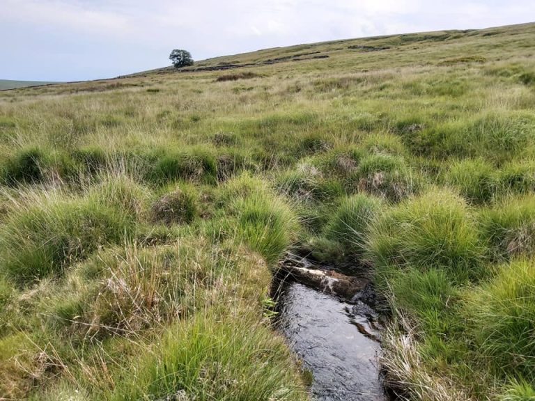 HUNTINGDON MINE AND ITS LEAT SYSTEMS Dartmoor Explorations