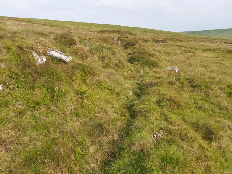 HUNTINGDON MINE AND ITS LEAT SYSTEMS Dartmoor Explorations