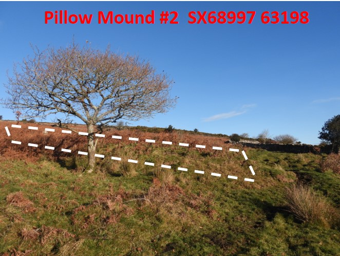 Pillow Mound 2a