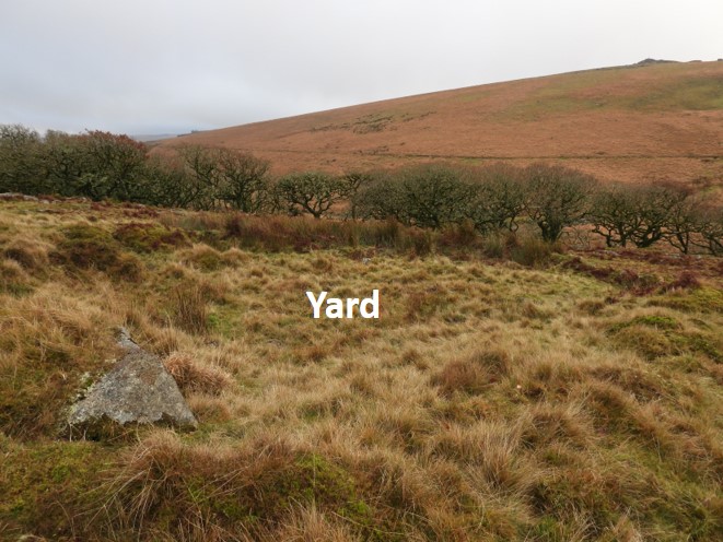 Yard 1