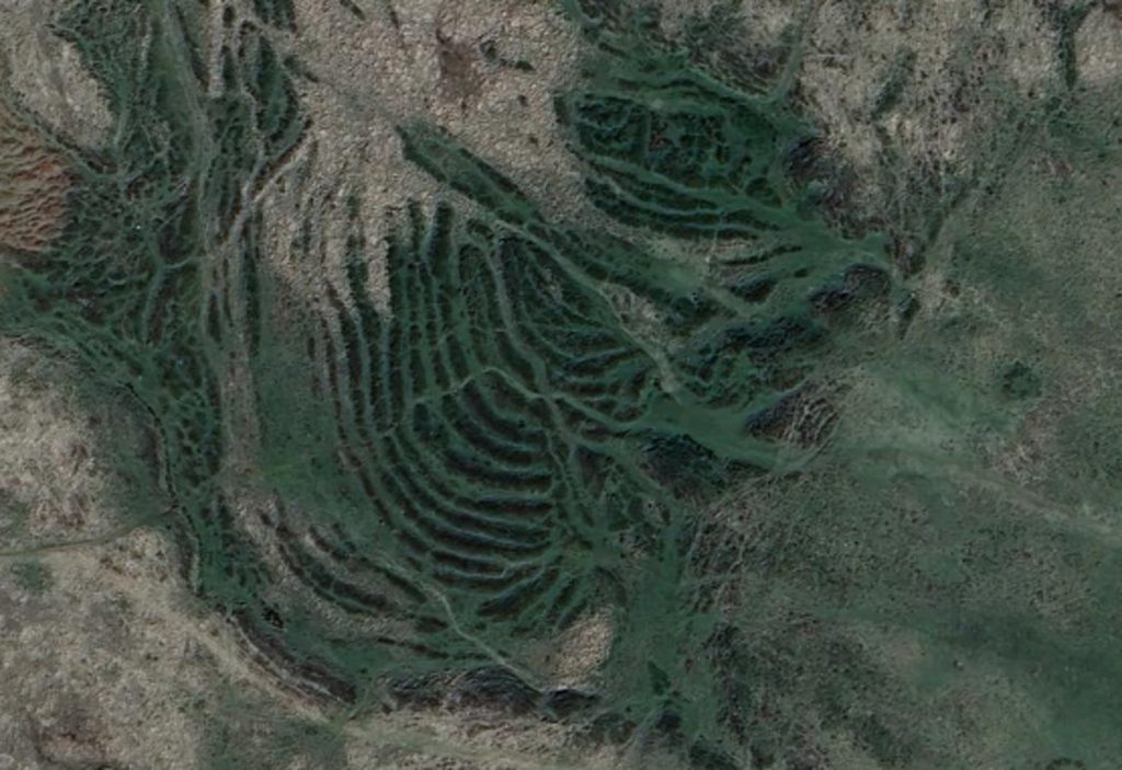 105. Google Curvilinear