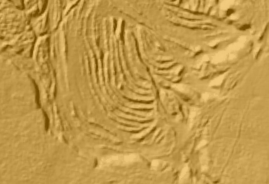 106. LiDAR Curvilinear