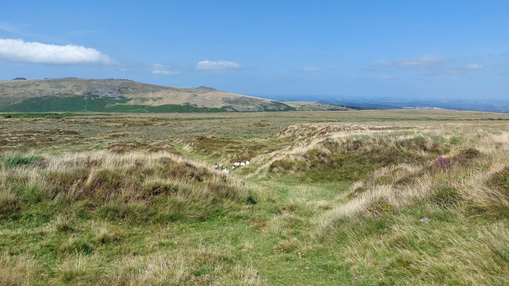 201. From Reservoir looking west