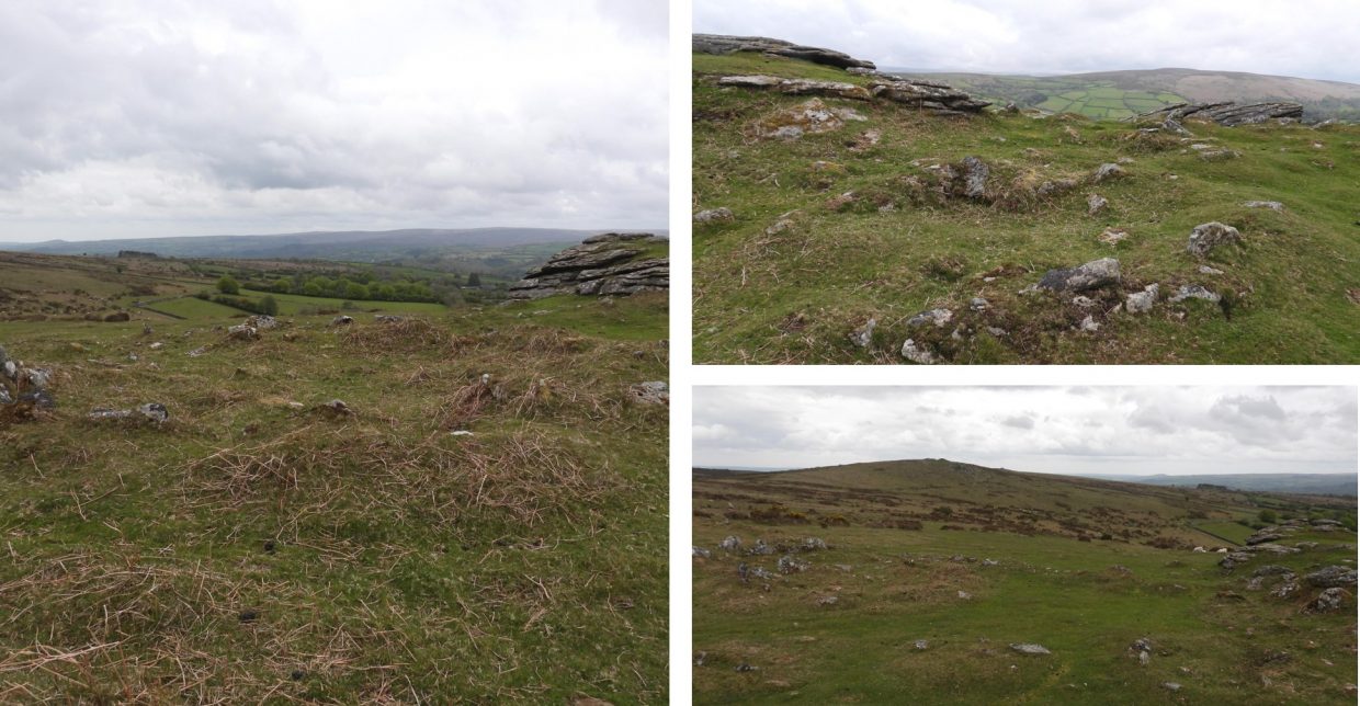 Dartmoor Explorations Calendar – August – Dartmoor Explorations