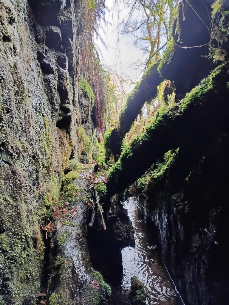 13e. East Vitifer Adit 2