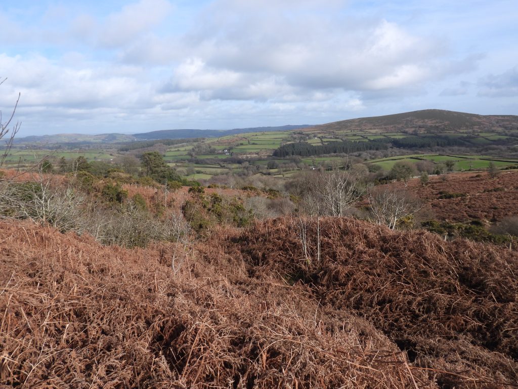 24. Top of Engine Shaft