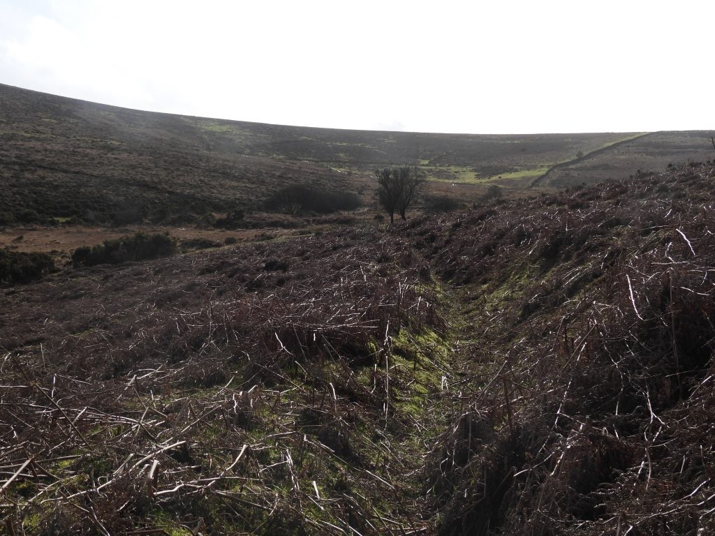 25. Leat leading to Wheelpit