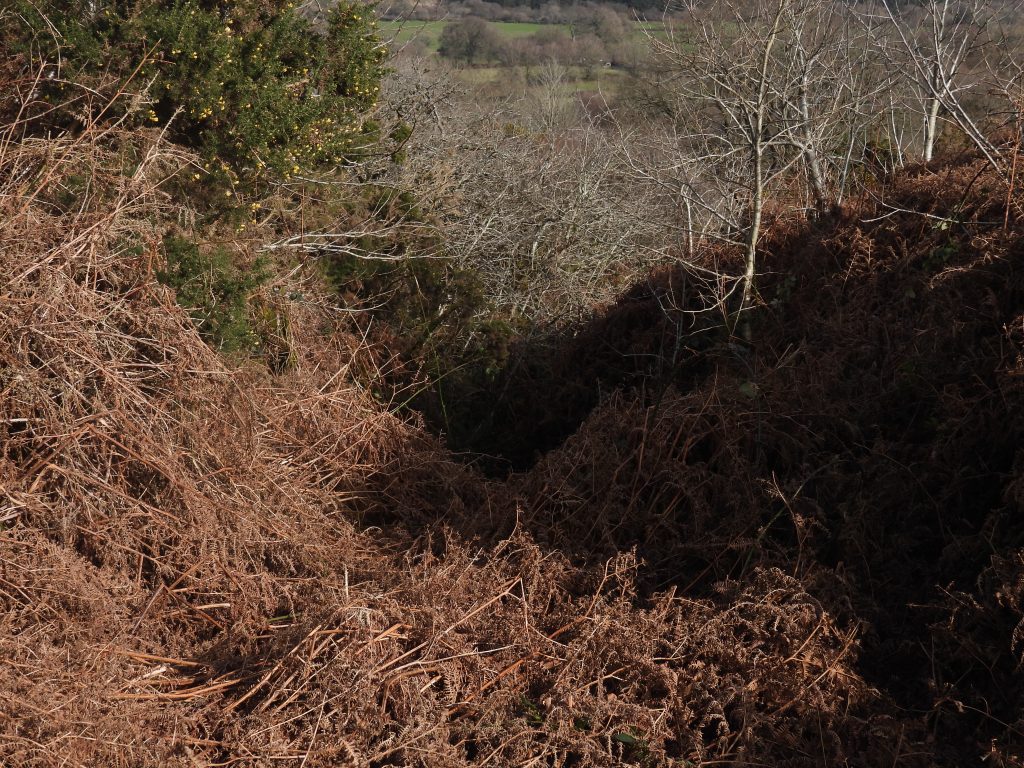 28. East Vitifer openworks