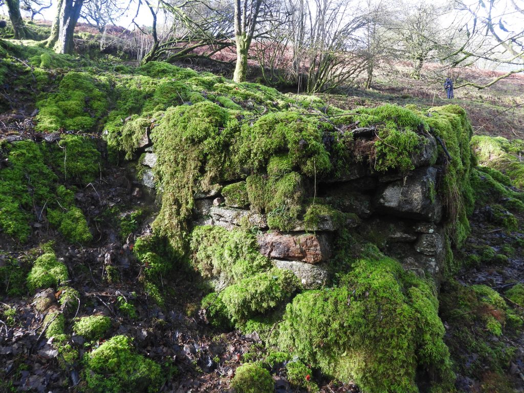 4. Edge of Wheelhouse