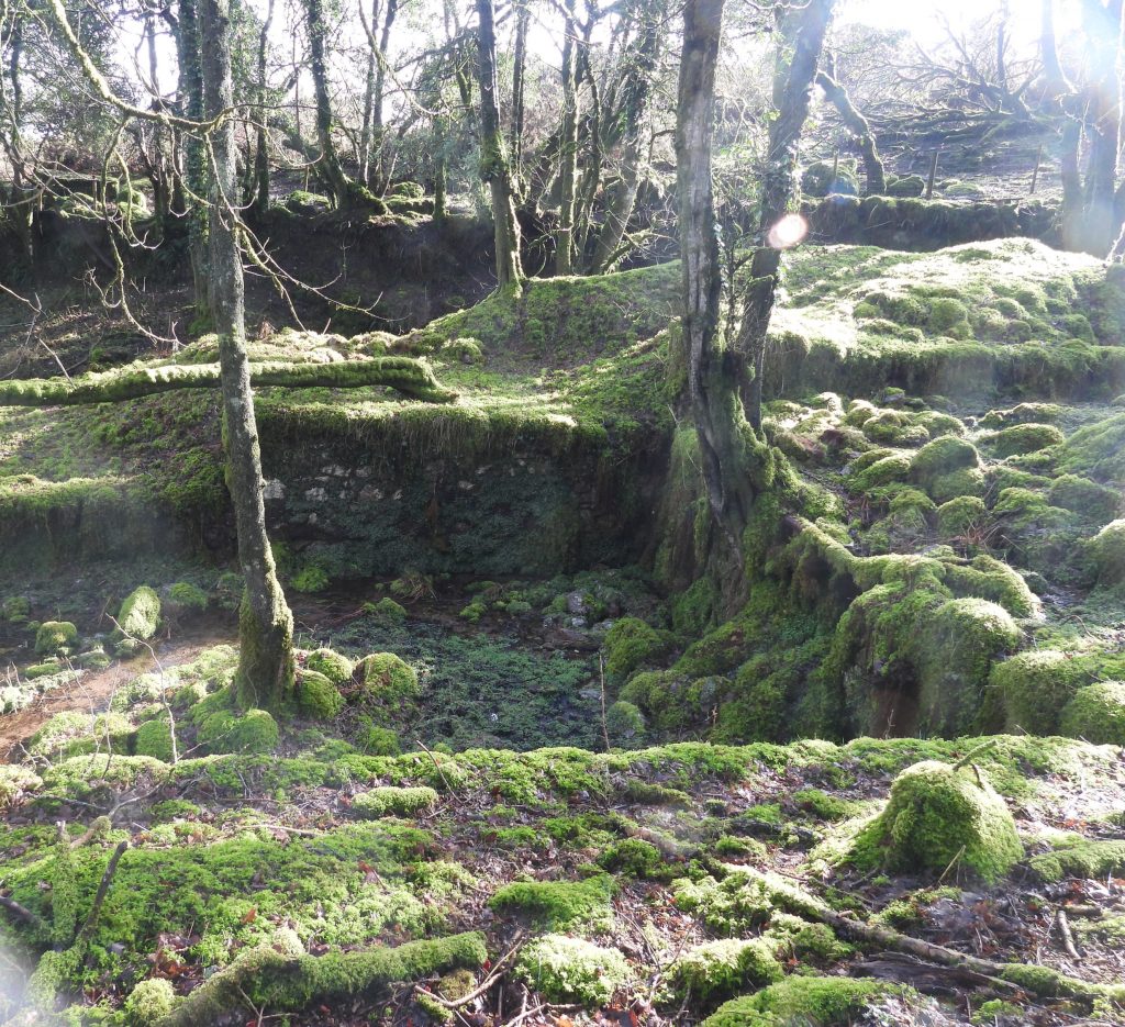 9. At Waterwheel looking east