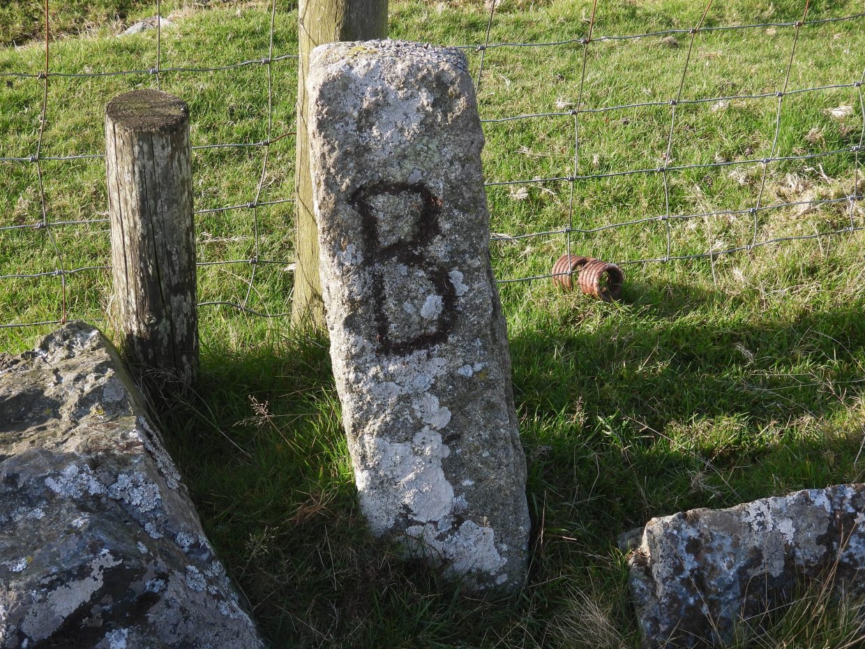 Cholwell Boundary Stones – Dartmoor Explorations