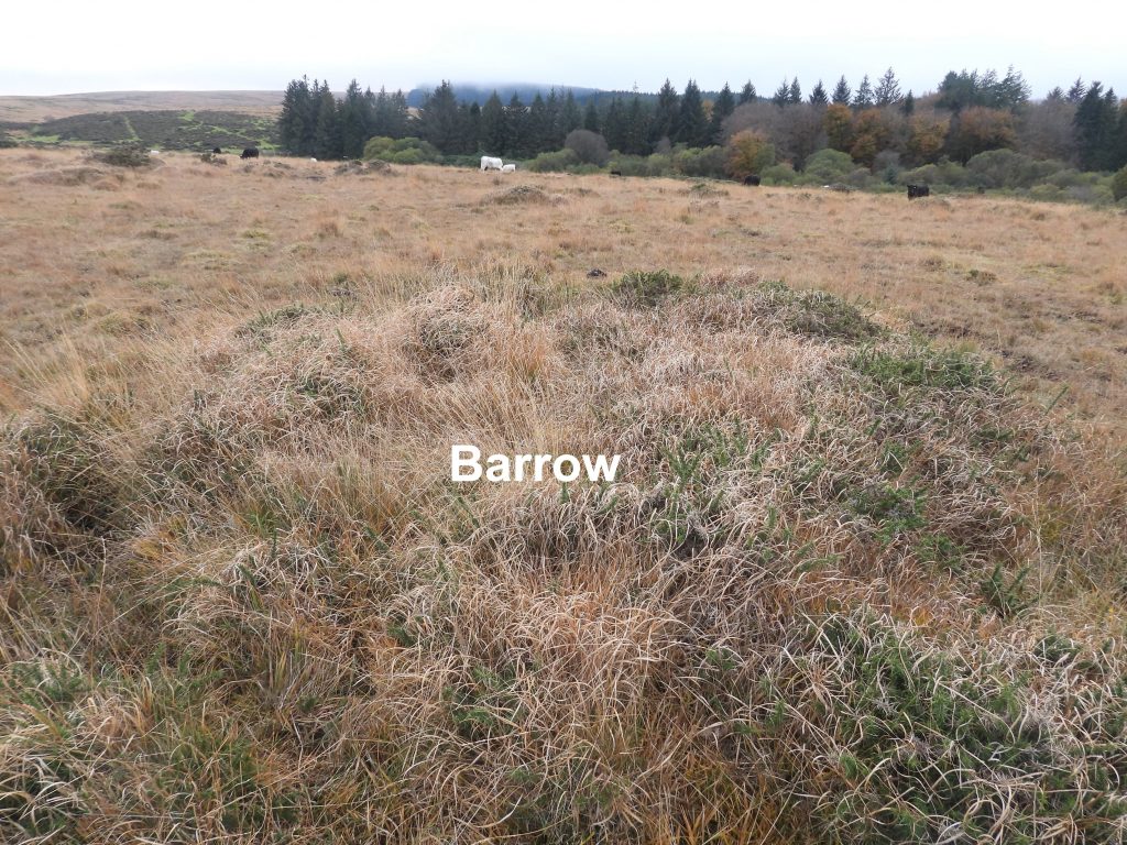 Barrow 1