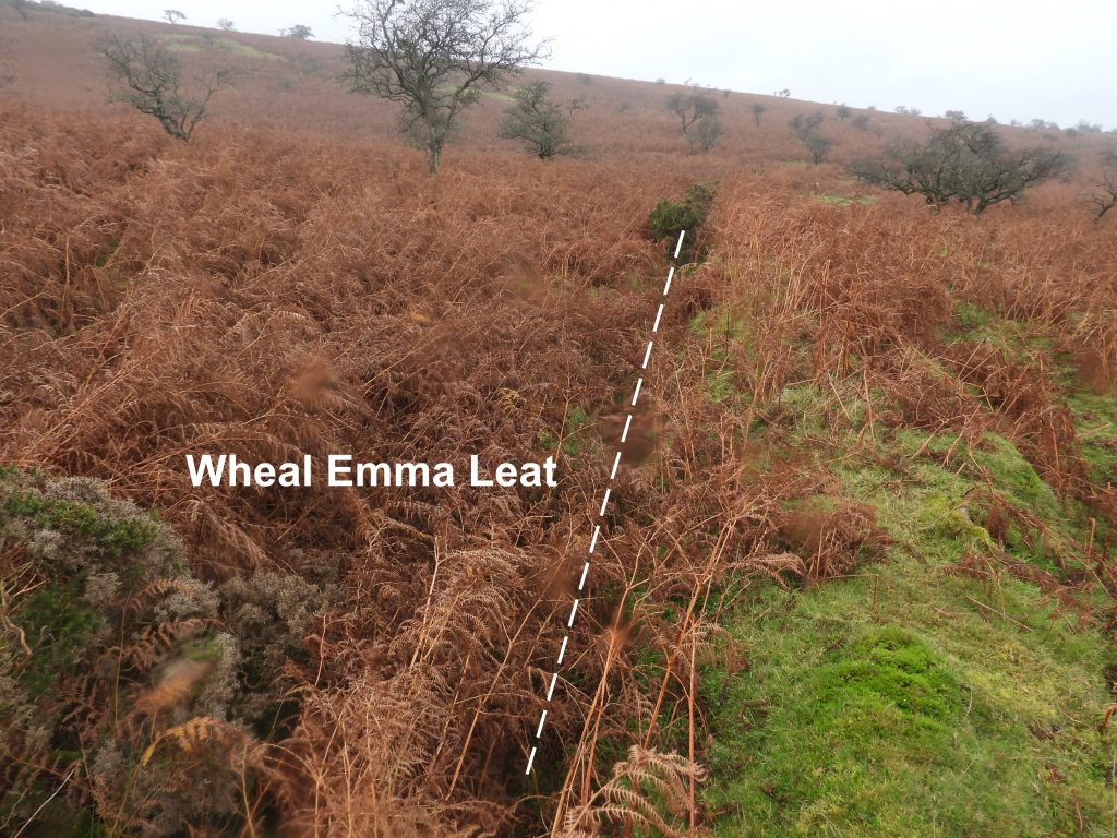 Wheal Emma Leat