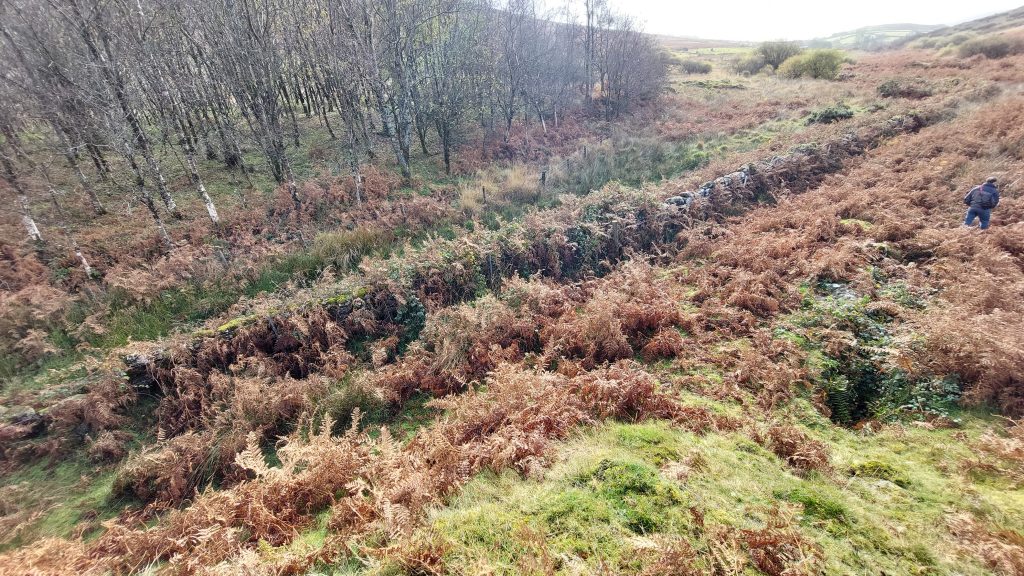 13. Wood and River by Dressing Floor