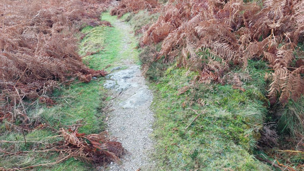 16. Flat Rod Bridge 1a