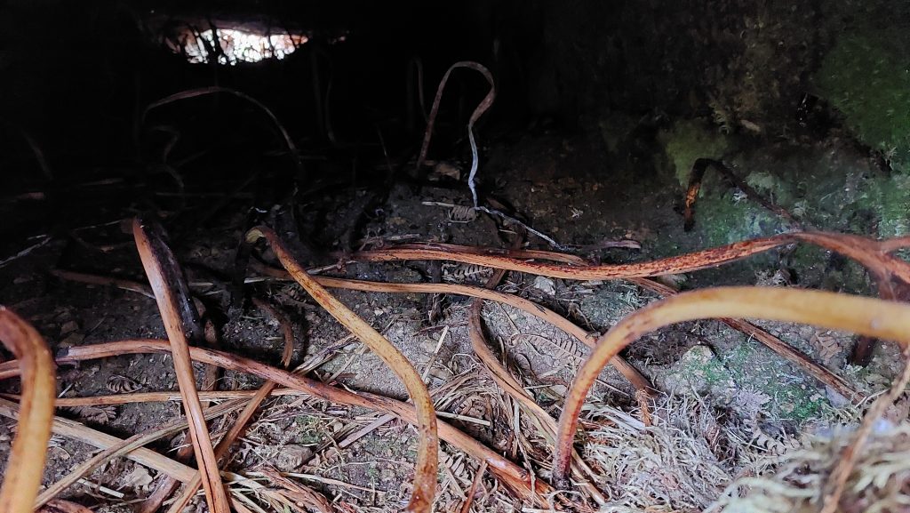 16. Flat Rod Bridge 1b