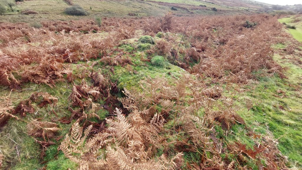 17. Flat Rod Bridge 2b