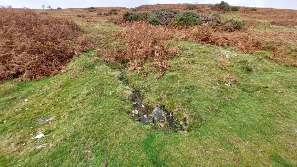 19. Challacombe Down Openworks